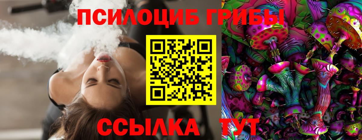Видное  Галлюциногенные грибы Psilocybe  Галлюциногенные грибы GOLDEN TEACHER  Вход с VPN 
